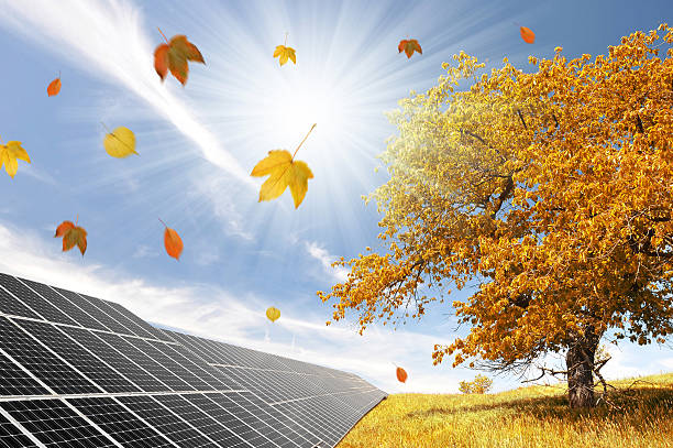 giving grid solar panels